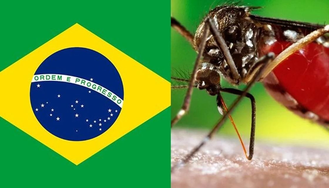 Dengue: Brasil ya batió en lo que va de este año el récord de muertes y contagios de todo el 2023