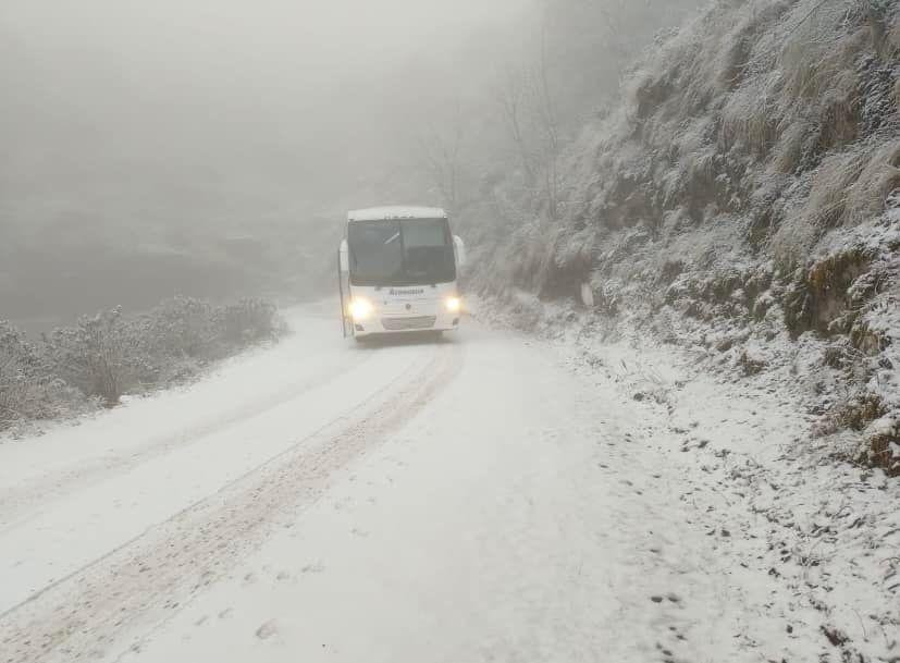 Tafí del Valle amaneció totalmente blanco tras la primera nevada el año