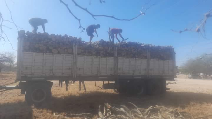 Secuestran 25 toneladas de leña en un operativo de fiscalización en La Paz