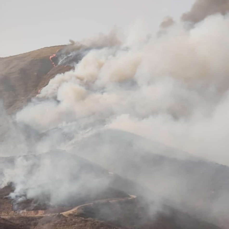 Contienen Incendio Forestal Gracias a la Rápida Intervención de Brigadistas y Helicóptero