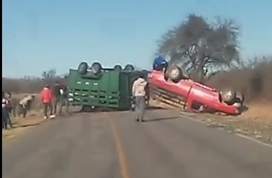 Accidente vial en Ruta Provincial 2: Vuelca camioneta que transportaba seis caballos