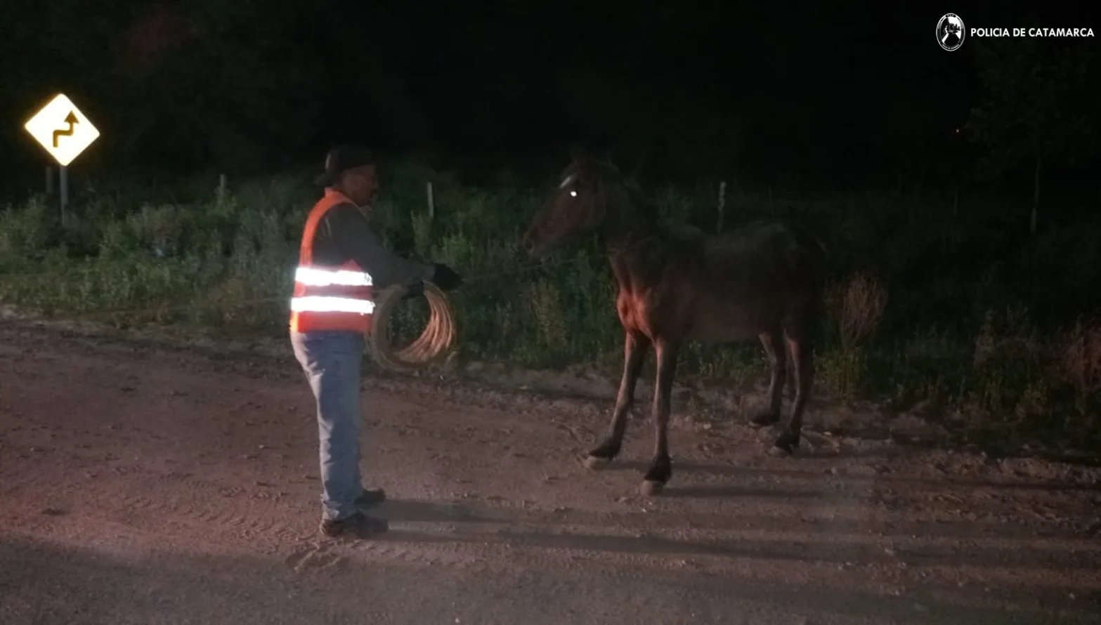 Policías secuestraron animales equinos sueltos en Belén