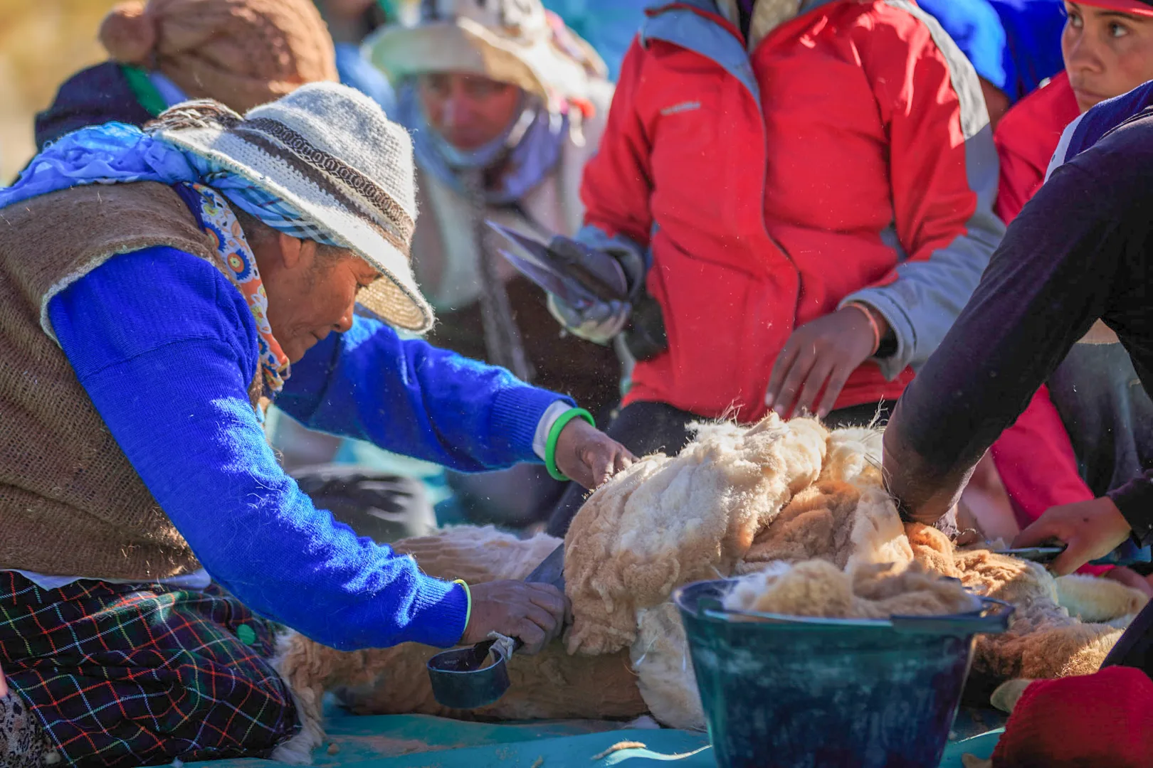 Coordinan la participación de turistas en el Chaku de la localidad de Laguna Blanca