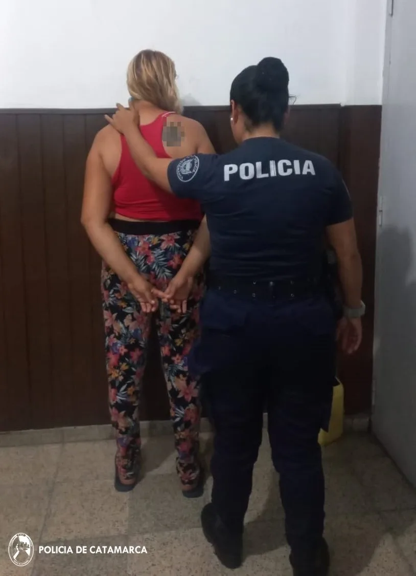 Una mujer fue aprehendida y varios postes de hierro secuestrados