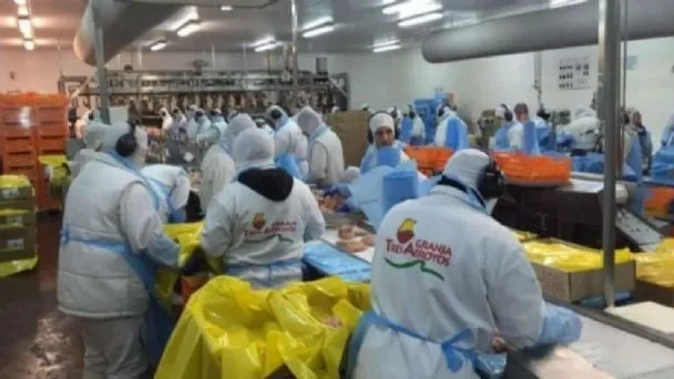 Una granja productora que militaba el gobierno de turno anuncia despidos