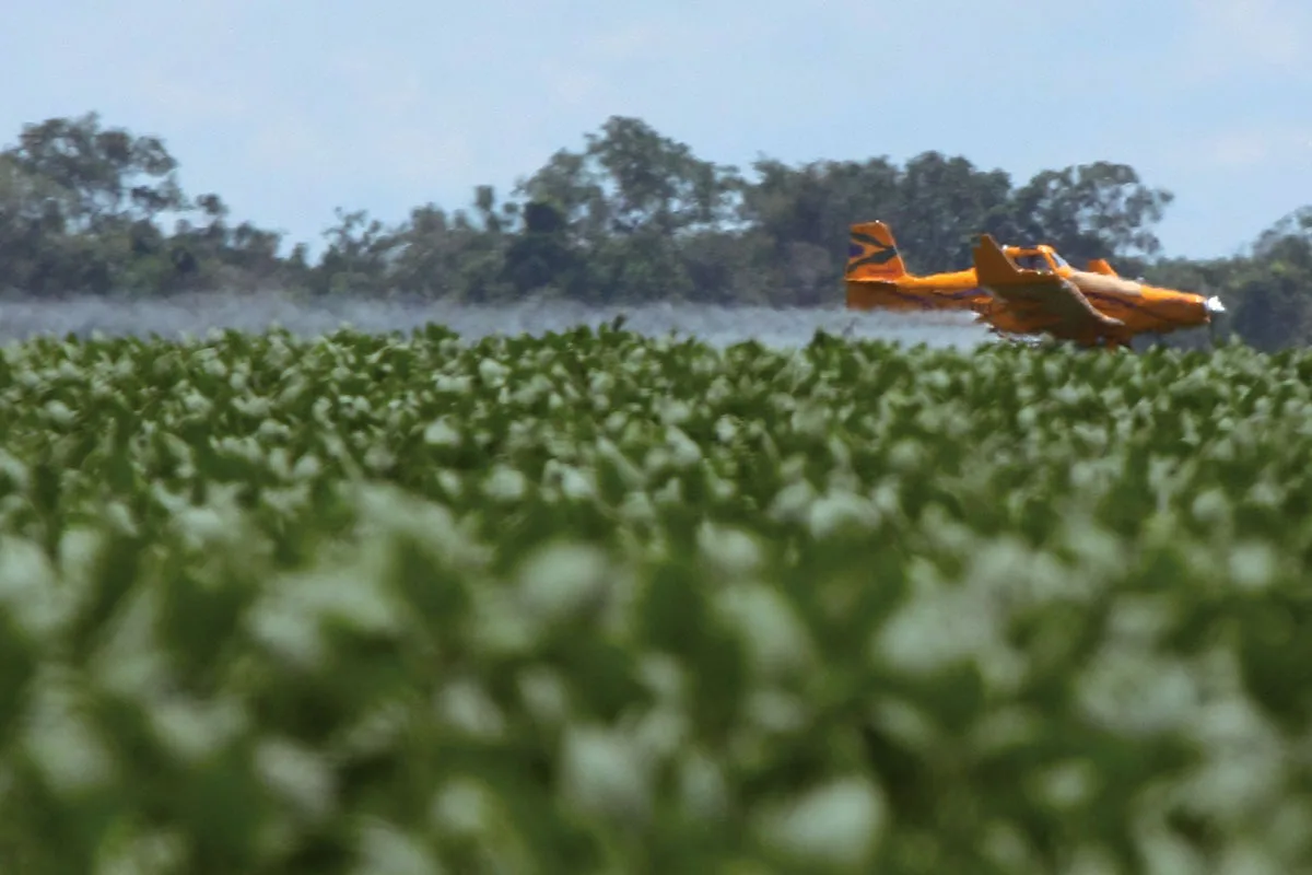 El impacto ambiental de los plaguicidas y fertilizantes: contaminación, salud y biodiversidad