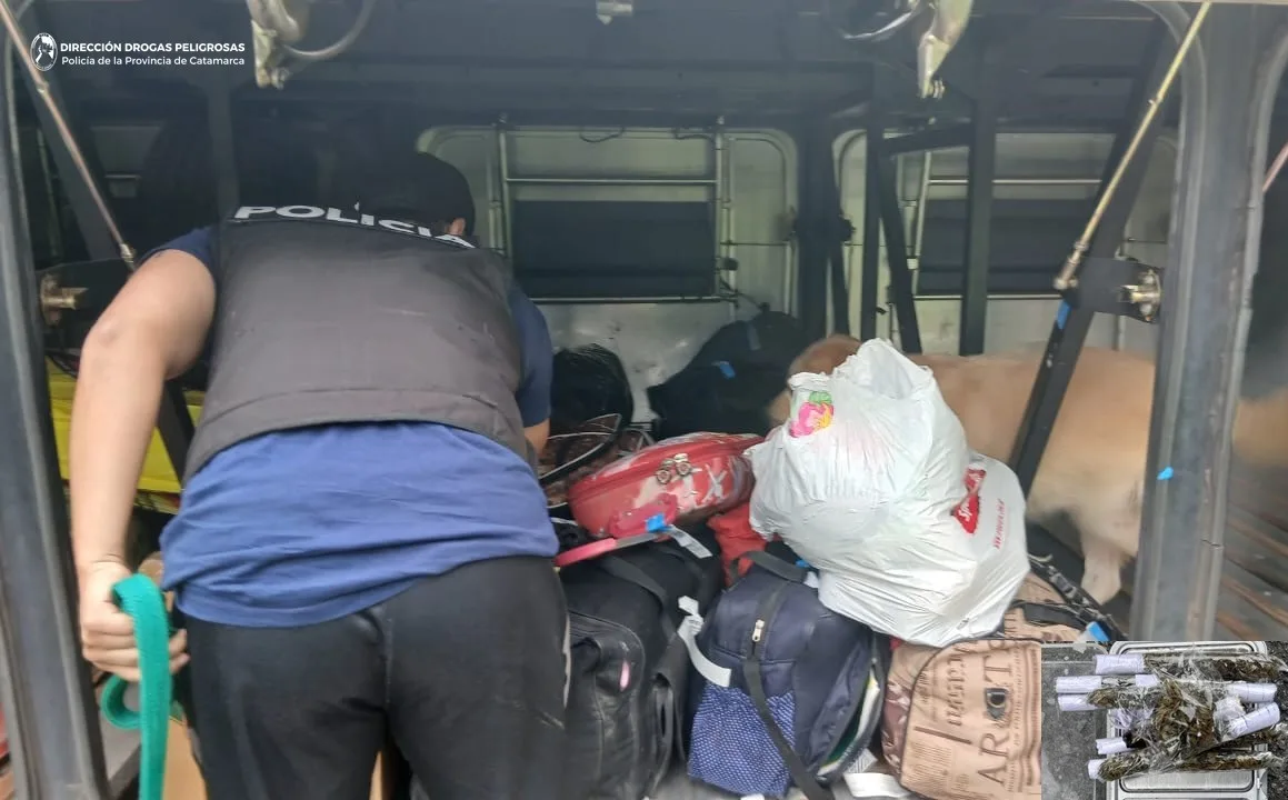 Lo pescó la Policía con marihuana en un colectivo: operativo sorpresa en La Viña
