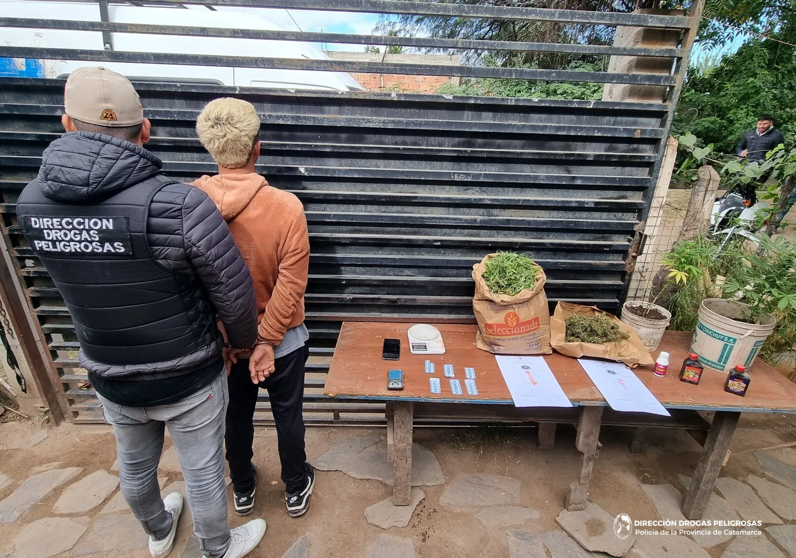 Golpe al narcomenudeo en Polcos: incautan más de 2 kilos de marihuana y detienen a un joven