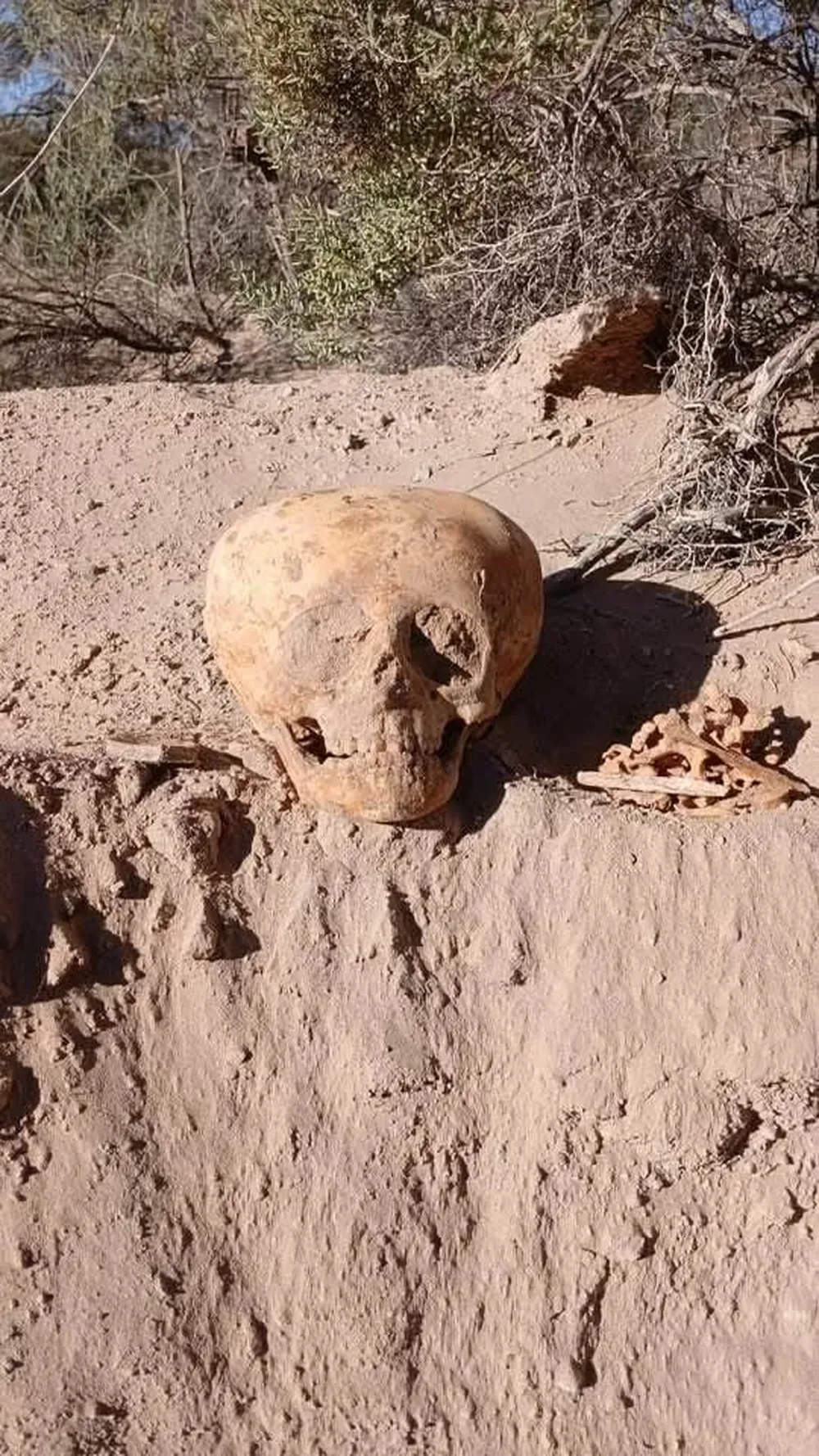 Misterioso hallazgo en Belén: encontraron restos óseos junto a la Ruta 40