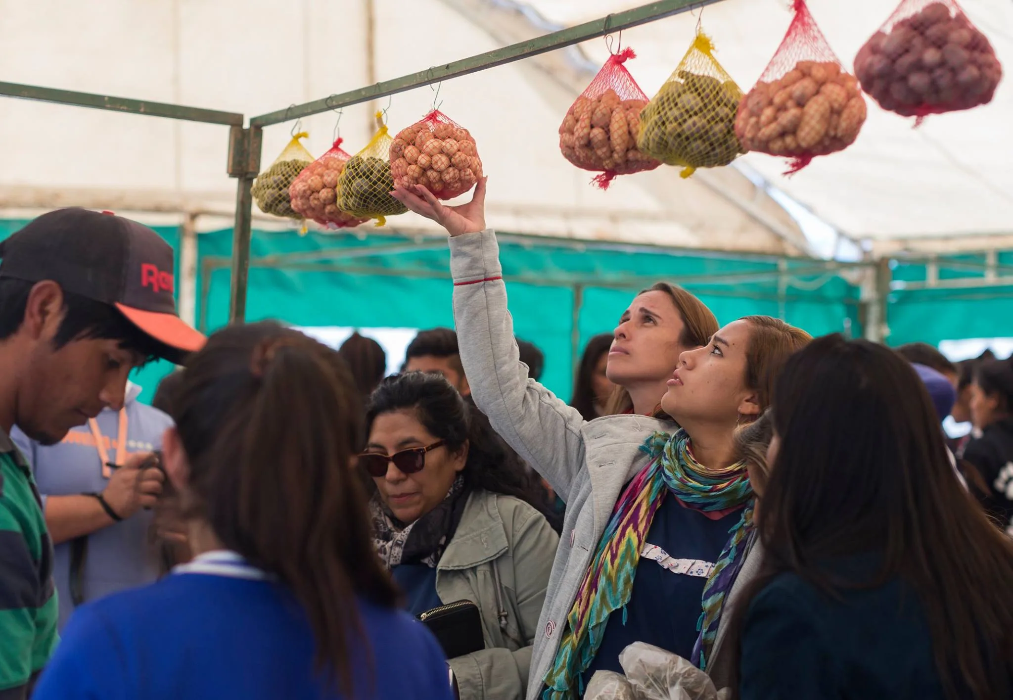 Agenda para dos fines de semana largos: peñas, festivales y turismo activo en Catamarca
