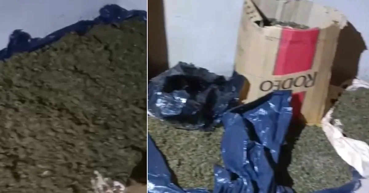 Desarticulada organización de narcotráfico: secuestran 42 kilos de marihuana en casa deshabitada