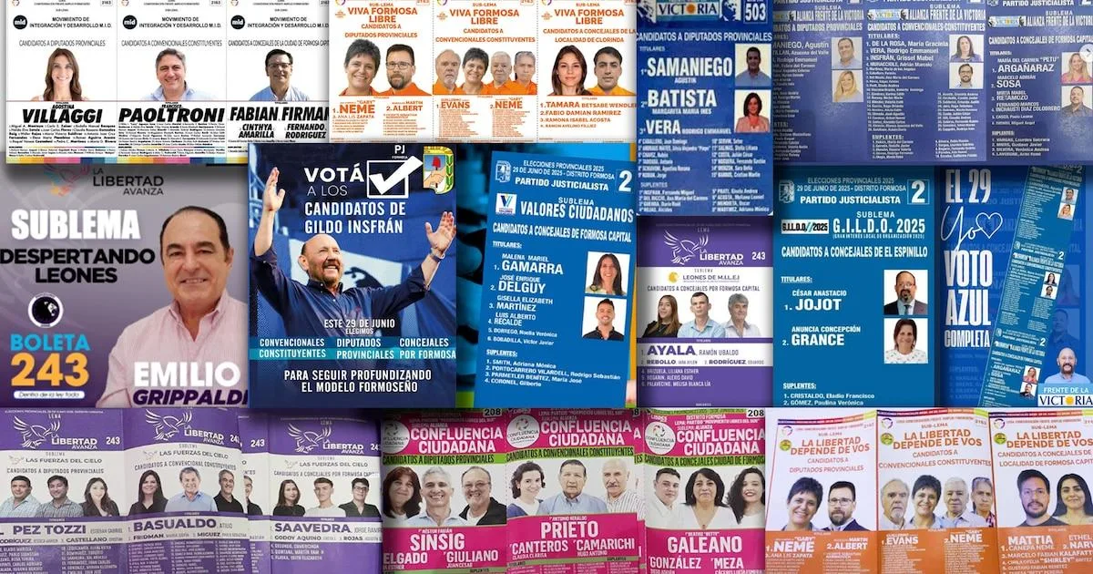 Elecciones en Formosa: 78 sublemas y Gildo Insfrán con 56 boletas en el centro de la contienda