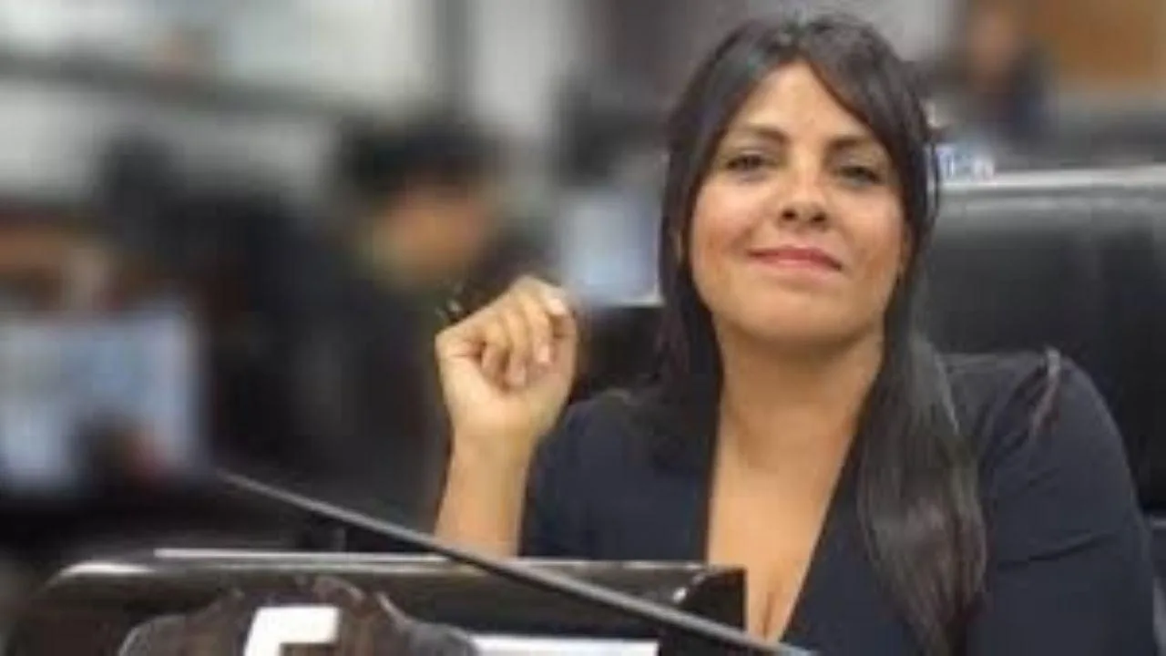 Detenida la presidenta del bloque de concejales del Partido Justicialista de Quilmes
