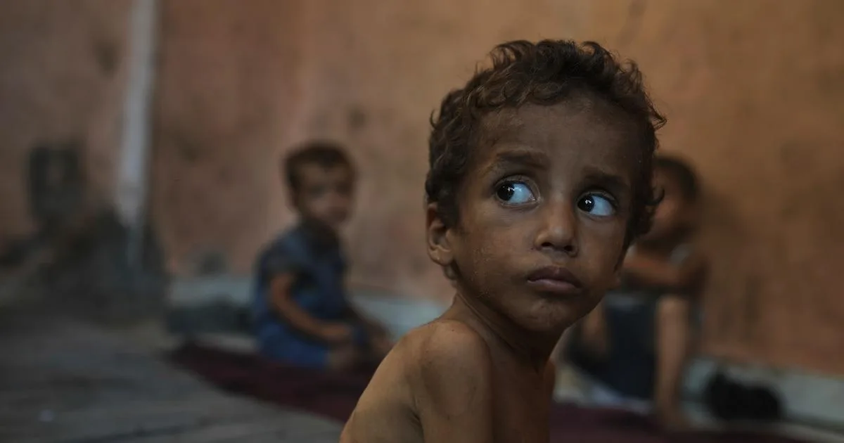 Crisis humanitaria en Gaza: advertencia de hambruna para niños desnutridos