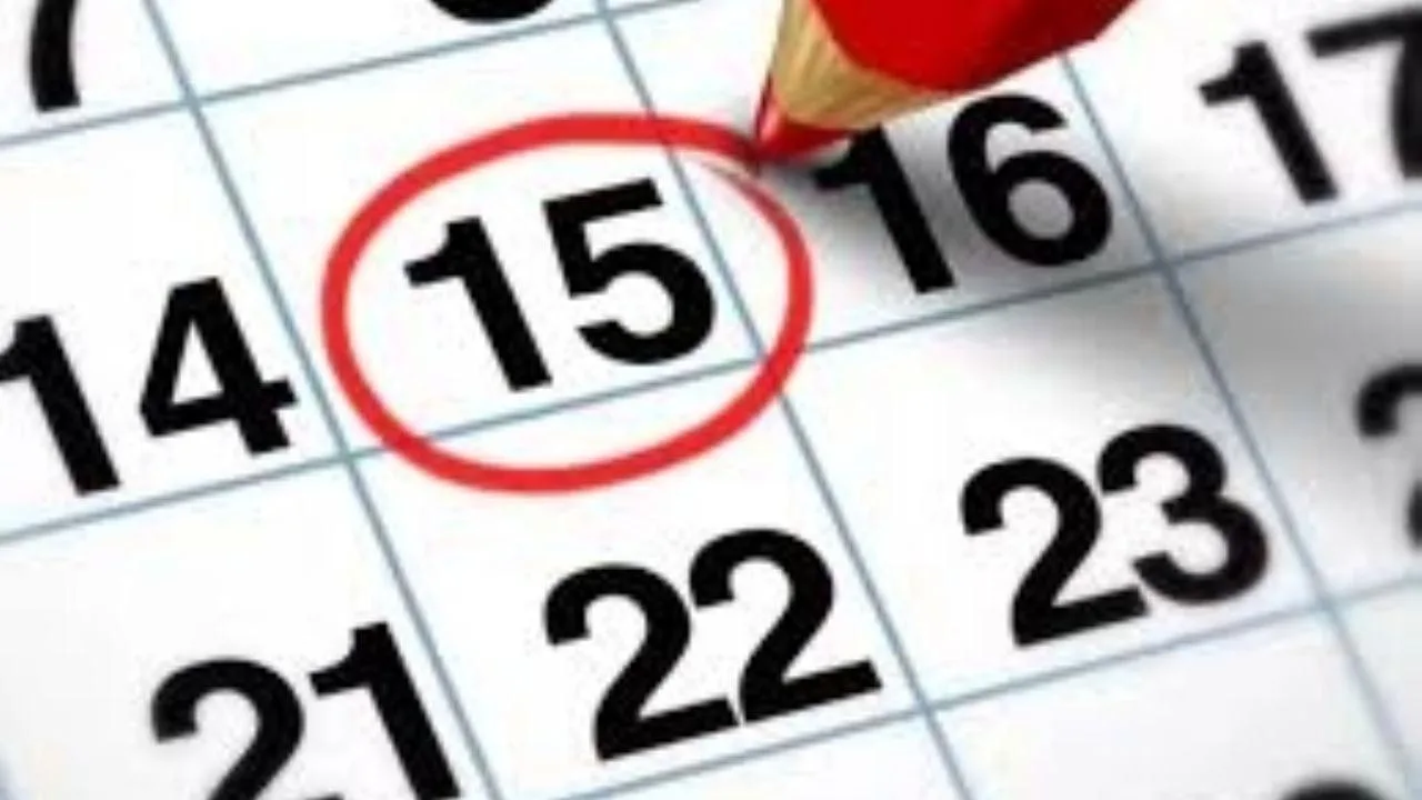 Fin de semana extra largo por el feriado de San Martín: ¿Quiénes podrán disfrutarlo?
