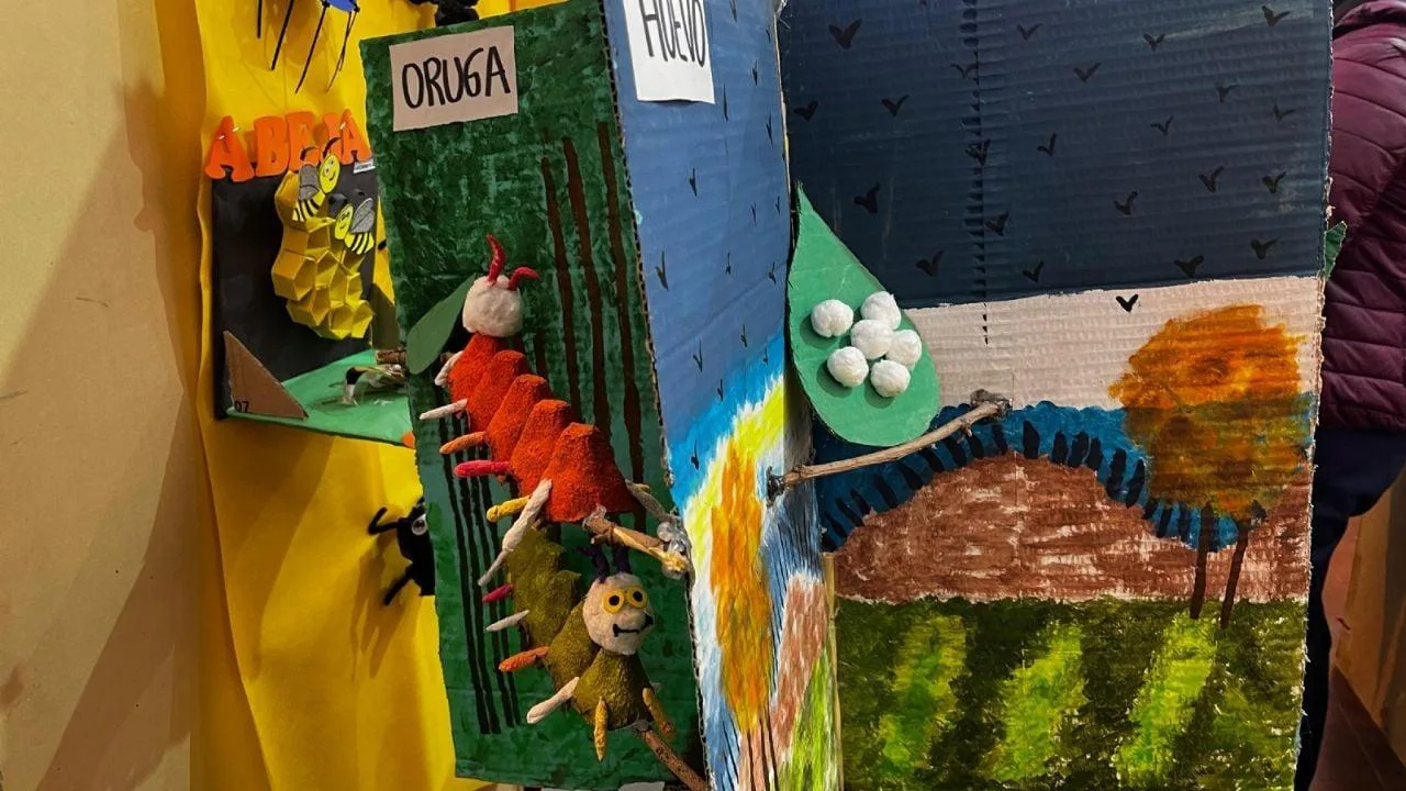 Feria de Ciencias en la Escuela N° 993 Sarmiento Moreno