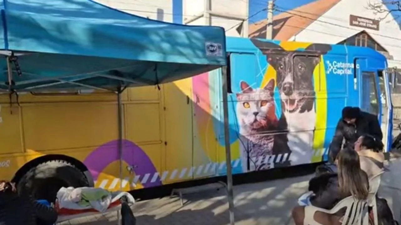 Servicio de esterilización y vacunación llega a los barrios de la Capital