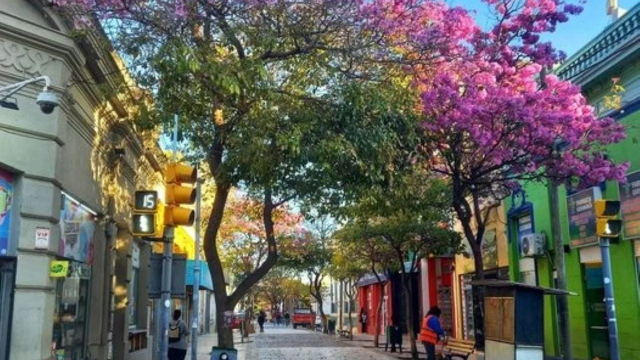 Clima del lunes 11 de agosto: jornada soleada con temperaturas entre 8°C y 23°C